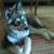 Tracey Juba's profile image