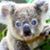 Vicki Williams's profile image
