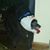 Donna Quigley's profile image