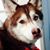 April Haworth's profile image