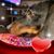 Sonia Jones Evans's profile image