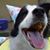 Bev Southwood's profile image