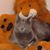 Deborah Limoges's profile image