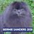 Barbara Krzewicki's profile image