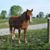 Donna Bradley Thomas's profile image