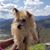 Pili Nicholas's profile image