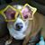 Heidi George-Wiersma's profile image