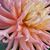 Janet Hughes's profile image