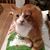 Doris Blankley's profile image