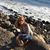 Geraldine M. Healy's profile image