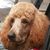 George M-h's profile image