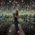 Angi San's profile image