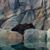 Leslie Heerman's profile image