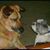 Bonnie MacCartney's profile image