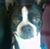 Tina Hutto's profile image