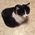 Judy Voskamp's profile image