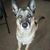 Linda Bagdasarian Kellas's profile image