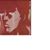 薛文皓's profile image