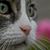 Donna Severson's profile image