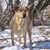 Jeanne Lewandoski's profile image