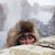 Joshua Gerson's profile image