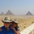 Joann Haas Downer's profile image