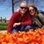 Karen McCarthy Chamberlin's profile image