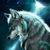 Dave Mills's profile image