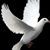Dioutapanta Emmanuel Oluwadarasimi's profile image