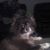 Ina Peek's profile image