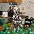 Saundra Tuttle's profile image