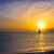 Vicki Amend's profile image