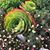 Jill Lawler-Peterson's profile image