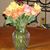 Linda Ausiello-Williams's profile image