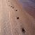Lisa Gould's profile image