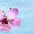 Joetta Farrell's profile image