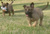 Vickie M.'s profile image