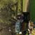 Karlheinz Carnahan's profile image