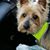 Dotty Beaulieu Barrett's profile image