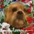 Cynthia Richardson's profile image