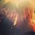 Andrea Williams's profile image