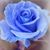 Gaby Martz's profile image