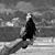 Diana Wickman's profile image