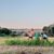 JoyceandFred Piske's profile image