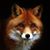 Sally Harmon Fox's profile image