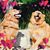 Shannon Rodden's profile image