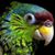 Karen Robertson's profile image