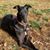 Paula Hampe's profile image