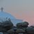 Susan Wittliff's profile image
