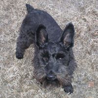 Connie Charbonneau's profile image